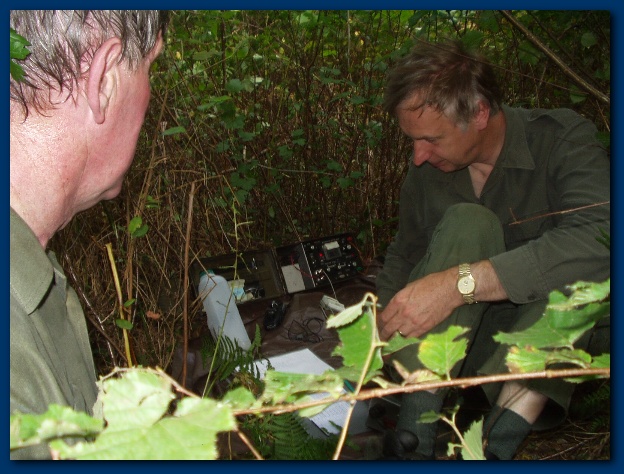 600x449 pixels (141K)